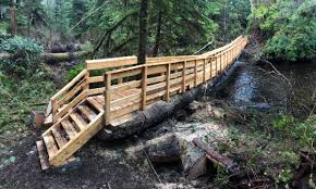 Cape Scott Park Capescottpark Twitter