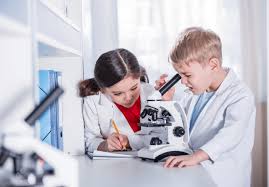 Bilderesultat for science