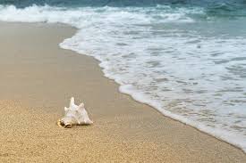 Image result for beach