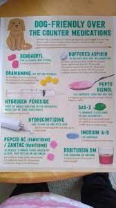 How Pumpkin Can Ease Your Dog S Upset Stomach Dogs Ease Pumpkin Stomach Upset Dog Remedies Dog Upset Stomach Dog Medicine