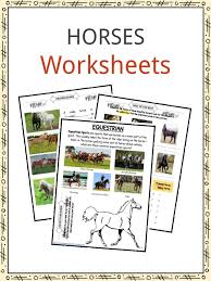 Horse Facts And Worksheets For Kids Kidskonnect