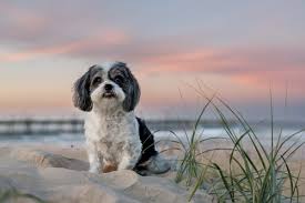 Jannene Meyer Photography | Professional Photography Business Network