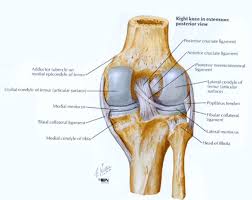 Image result for Knee Injection