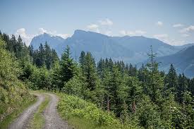 This park features miles of trails with some leading towards wallace falls hike alongside the shoreline of wallace river to see the beauty of the waterfall at its lower, middle, and upper viewpoints. Wallace Falls State Park Washington State Parks And Recreation Commission