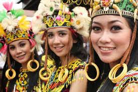Diantaranya suku dani, suku asmat, suku bauzi, dan 1.2 rumusan masalah masyarakat indonesia harus mengetahui kemajemukan suku bangsa yang tersebar di indoensia salah satunya yang difokuskan di makalah ini adalah suku dani yang terdapat atau bermukim atau mendiami pegunungan tengah papua, indoensia. Penjelasan Kebudayaan Suku Dayak Bugis Asmat Dan Dani Materi Sma Online