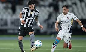 ¡Ultimo Momento! Botafogo se Juega la Vida en la Libertadores - Imagen principal del artículo