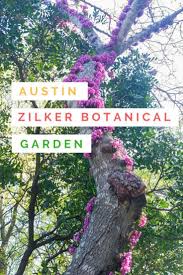 Zilker Botanical Garden In Austin Tx In 2020 Botanical Gardens Botanical Gardens Near Me Atlanta Botanical Garden