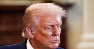 memeorandum: Trump Says He's 'Getting Rid of Woke' and Dismisses Copyright  Concerns in AI Policy Speech (Kate Knibbs/Wired)