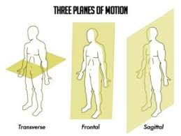 Yoga relies on back bending to keep the spine supple and young. Working Your Body In All Planes Of Motion And Why It Matters Boost Fitness