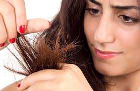 Profil de Diana Farhat (farhatmina)