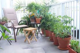 Las plantas colgantes están muy de moda. Decorar El Balcon Con Plantas Pisos Al Dia Pisos Com