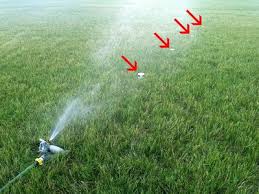 We did not find results for: The Right Way To Water Your Lawn Ndsu Agriculture And Extension