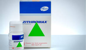 azithromycin in veterinary medicine facts and information