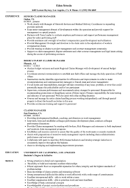 claims manager resume samples velvet jobs