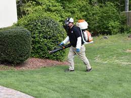 Protect your home and family. Bug House Pest Control Services In Georgia Get A Free Quote