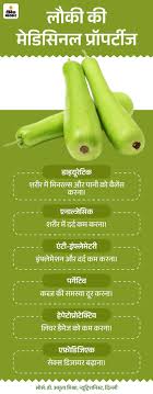 Bottle Gourd Health Benefits (Lauki Sabji Khane Ke Fayde) | Nutritional  Value | गर्मियों के सुपरफूड- लौकी में 10 औषधीय गुण: पोटेशियम-कैल्शियम से  भरपूर लौकी पचने में आसान ...