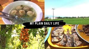 Resep sambal goreng telur puyuh. Daily Life Indonesia Makan Ikan Semar Pergi Ke Kebun Cengkeh Youtube Health Flower Pots Beautiful Pictures