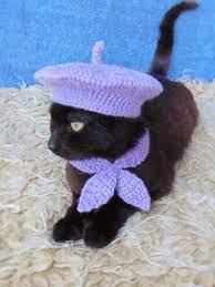 French Beret Hat And Scarf Beret Hat For Cat Cat Scarf Purple Kitten Outfit Cat Accessories Black Cat Costume Pet Costume In 2021 Cat Scarf Black Cat Costumes Pet Costumes