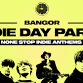Indie Day Party - Bangor  event image
