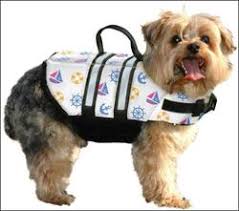 Nautical Designer Dog Life Jacket