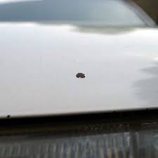 Here S How To Repair Those Frustrating Car Paint Chips On Your Own Paint Chip Repair Car Painting Car Paint Repair