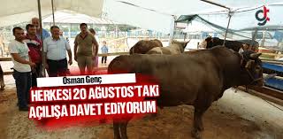 Samsun Haber Osman Genc 20 Agustos Canli Hayvan Pazari Acilisina Herkesi Davet Ediyorum Gencler Osman Hayvan