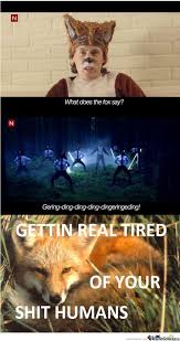 What Does The Fox Say Internet Funny Funny Pictures Bones Funny