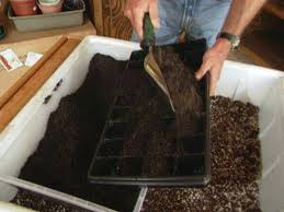 Compare prices & read reviews. How To Grow Eggplants How Tos Diy