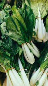 Di video ini kita akan belajar nama sayur sayuran dalam bahasa indonesia dan bahasa. Merakam Gambar Sayur Sayuran Tempatan Di Pasar Tani Danau Kota