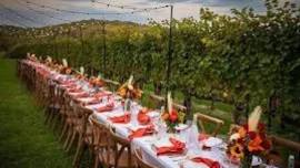 6th Annual Harvest Dinner In The Vineyard