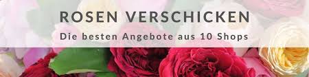 Joachim k marke best we saw eintracht has evolved slowly over local and therapeutic issues. 100 Rosen Verschicken Premium Rosenstrauss Ab 159