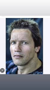 Arnold Sunflower Storm Ai Ai Ai