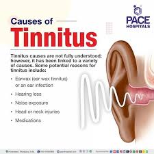 Image result for Tinnitus