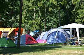 Les emplacements du camping animaux autorisés sur les emplacements animaux autorisés dans les locations : Camping De Gampelen Ferme Fin 2024 Rtn Votre Radio Regionale