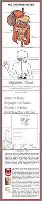 Download Club Members Can Download These Digestive System Teaching Resources Http Www Teaching Body Systems Human Body Systems Human Anatomy And Physiology
