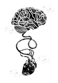 Brain And Heart By Erzebet S In 2020 Brain And Heart Brain Art Heart Doodle