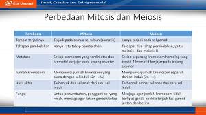 Terjadi pada alat reproduksi/gametogonium pada saat gametogenesisi (pembentukan gamet). Materi Genetik Dan Proses Pembelahan Sel Ppt Download