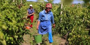 Contractul de asigurari sociale poate fi reziliat la cererea oricareia dintre parti. O NouÄƒ Categorie De PlÄƒtitori De ContribuÅ£ii Zilierii ObligaÈ›i SÄƒ Incheie Un Contract Individual De AsigurÄƒri Sociale Cotidianul