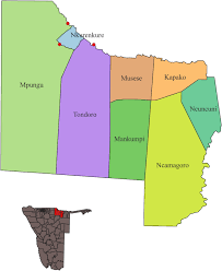 Image result for Salacia luebbertii