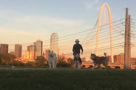 To get up close and personal with the trinity river, you don't even have to leave the city. Take Your Dog Hiking On These Dallas Trails D Magazine