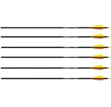 Easton Aluminum Gamegetter Ii Hunting Arrows 1 2 Doz With