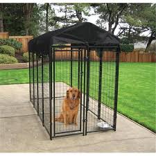 We also offer grooming and day care services for your pet. Cheap Dog Kennels Near Me Off 54 Online Shopping Site For Fashion Lifestyle