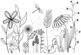 My Original Art Inspired By Many Doodle Flower Line Drawing Tattoo Garden Plants Doodle Art Flowers Flower Line Drawings Flower Doodles