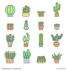 Les Cactus Un Succes Piquant Dessin Cactus Dessin Plante Petit Dessin