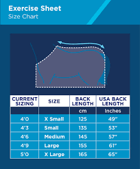 Horse Rug Size Guide
