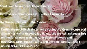 Beautiful and fresh bouquets here. Flower Delivery Green House Florist Flower Delivery In Sheffield