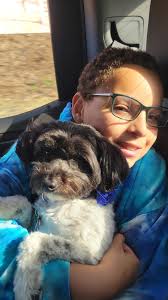 Sphynx cat enjoys car ride with siblings