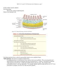 Check spelling or type a new query. Cells In Their Social Context Cell Junctions