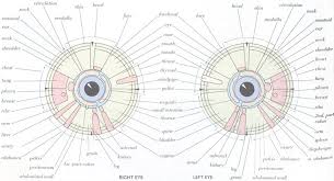 Iridology Dr Manik G Hiranandani