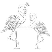 Free printable cartoon flamingo coloring page in vector format, easy to print from any device and automatically fit any paper size. Vector Illustration Flamingos Coloring Page Stock Illustration Illustration Of Flamingo Page 119639144